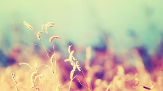 警惕手机号验证码被人截胡